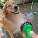 PetFlex™ 15M | Mangueira Inteligente para Banho de Pets e Limpeza