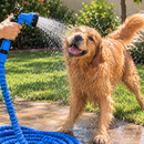 PetFlex™ 15M | Mangueira Inteligente para Banho de Pets e Limpeza